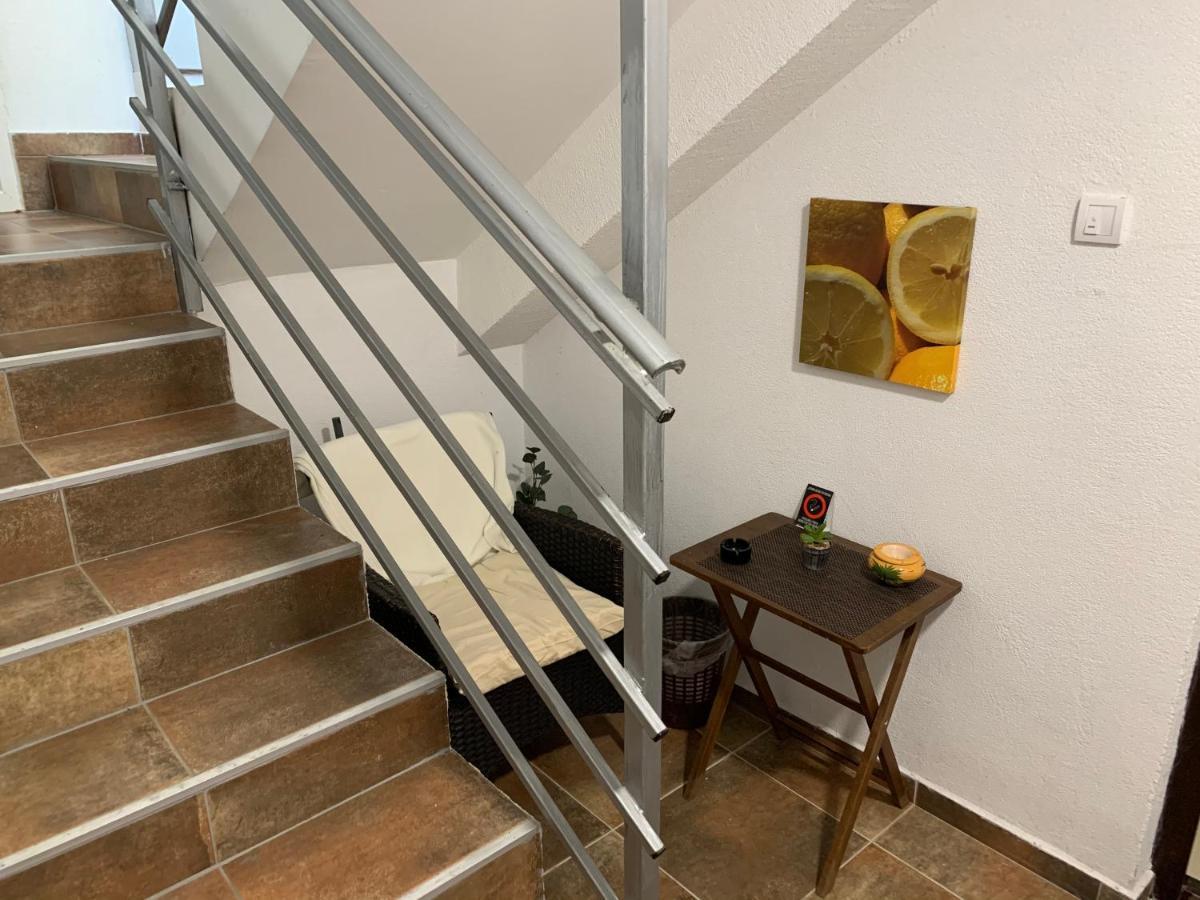 A6 Apartment Novi Sad Buitenkant foto