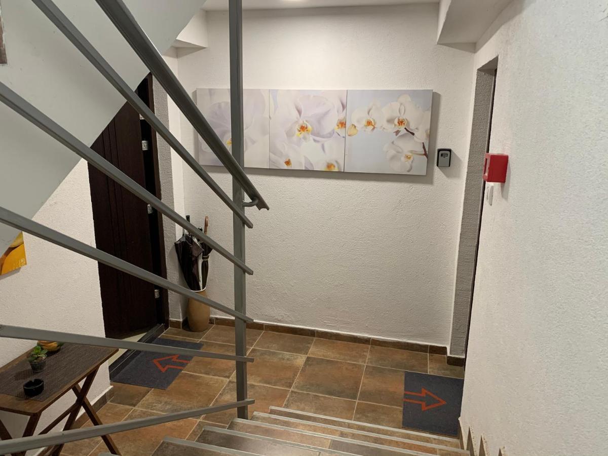 A6 Apartment Novi Sad Buitenkant foto